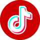 TikTok_icon